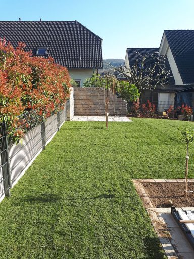 Gepflegter Garten mit Rasen und Beet an einer Grundstücksgrenze