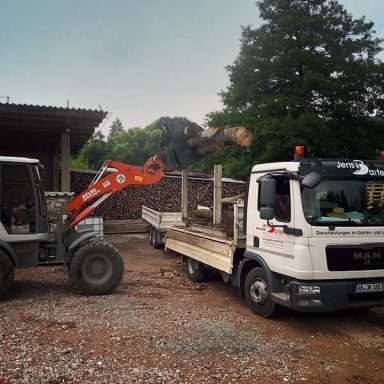 Radlader lädt Baumstamm auf LKW im Holzlager