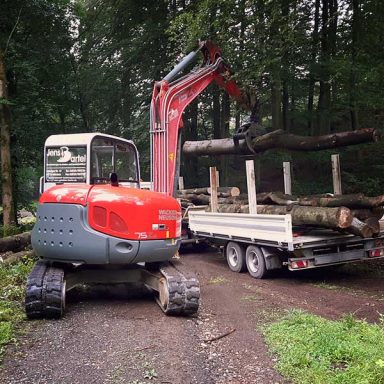 Roter Minibagger lädt Baumstämme auf Forstanhänger im Wald