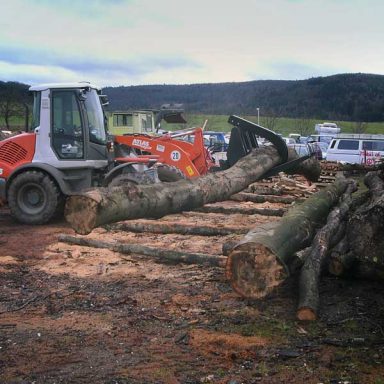 Stapel gefällter Baumstämme neben Forstfahrzeug auf Freifläche